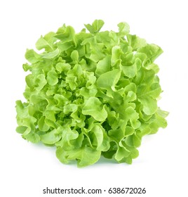 Oak Leaf Lettuce Isolated On White.