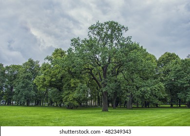 oak Park
