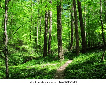 The Oak Ridge Greenway In East Tennessee