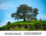 The Oak in the Shire