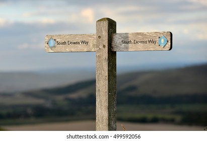 Oak South Downs Way Sign, National Park