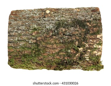 Oak Stump, Stump Log Fire Wood Isolated On White Background With Clipping Path