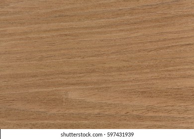 Oak texture on macro, natural background. Extremely high resolution photo.