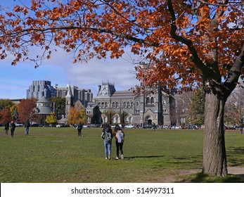 Oak Tree In Brilliant Fall Colors On College Campus