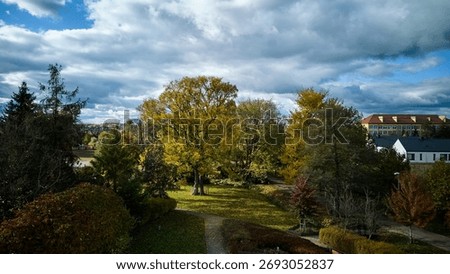 oak tree path, winding walkway beneath oak tree with clouds, dramatic sky over oak tree and winding park path
