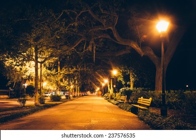 Oak Trees And Path At Night In Forsyth Park, Savannah, Georgia.