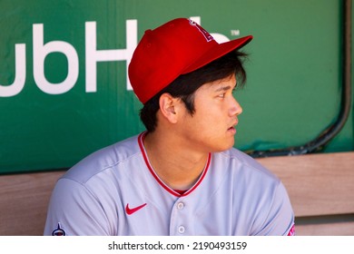 Oakland, California - August 10, 2022: Los Angeles Angels DH Shohei Ohtani In The Dugout Before A Game Against The Oakland Athletics At The Oakland Coliseum.