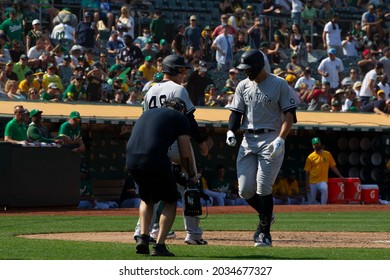 Oakland, California - August 28, 2021: Aaron Judge #99 And Anthony Rizzo #48 Of The New York Yankees Celebrate After Judge Hits A Home Run Against The Oakland Athletics At RingCentral Coliseum.