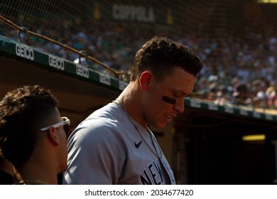 Oakland, California - August 28, 2021: New York Yankees Outfielder Aaron Judge In The Dugout After Hitting A 9th Inning Home Run Against The Oakland Athletics At RingCentral Coliseum.