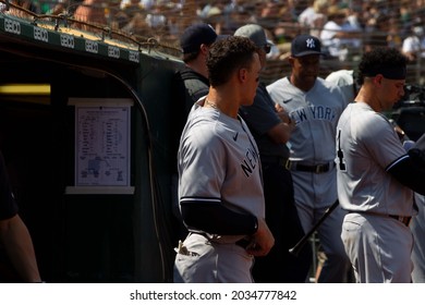 Oakland, California - August 28, 2021: New York Yankees' Aaron Judge #99 Stands In The Dugout During A Game Against The Oakland Athletics At RingCentral Coliseum.