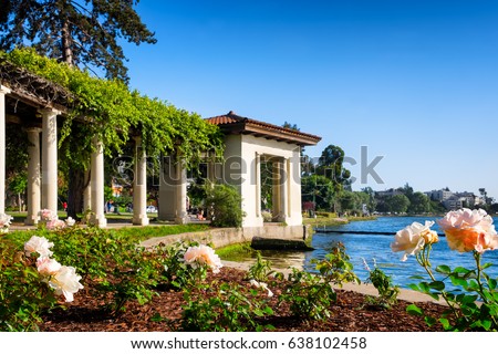 Oakland, California, Lake Merritt historic rose arbor. Selective focus on the foreground flowers. Copy space