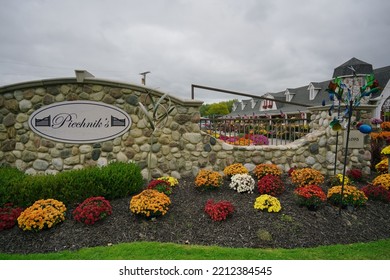 Oakland, Michigan - Oct.  2022: View Of Mums And Pumpkins                             