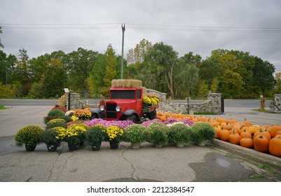 Oakland, Michigan - Oct.  2022: View Of Mums And Pumpkins                             