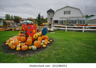 Oakland, Michigan - Oct.  2022: View Of Mums And Pumpkins                             