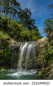 Oakley Creek Waterfall on a Bright Summers Day, Auckland, New Zealand