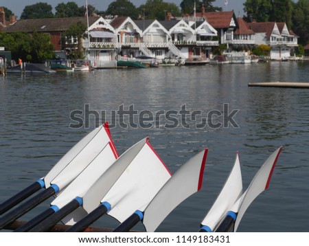 Oars by the river at Henley Royal Regatta
