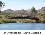 An oasis in the middle of the desert. A wooden bridge on the lake, vegetation, trees and in the background houses and Henderson-Nevada United States of America.