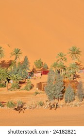 Oasis in Sahara desert