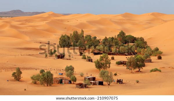 サハラ砂漠のオアシス の写真素材 今すぐ編集