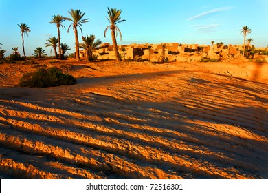 Oasis In Sahara Desert, Africa