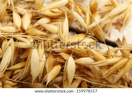 Similar – Image, Stock Photo Why Zen? Wheat Moonlight