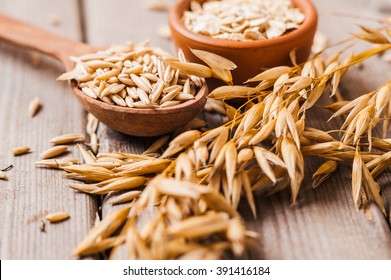 Oat ears of grain on a wooden table, oatmeal. Bounteous harvest. A  Healthy fresh Dry Oat meal 