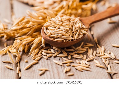 Oat ears of grain on a wooden table, oatmeal. Bounteous harvest. A  Healthy fresh Dry Oat meal  - Shutterstock ID 391416391