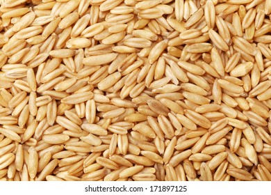 Oat Grains Background 