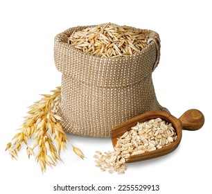 oat grains in burlap bag and oatmeal in scoop isolated on white background - Powered by Shutterstock