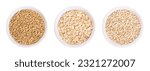 Oat grains, rolled oats and oatmeal, in white bowls. Husked common oat, Avena sativa, a cereal grain. Dehusked steamed oat groats, rolled into flat flakes, toasted, used whole or as steel-cut flakes.