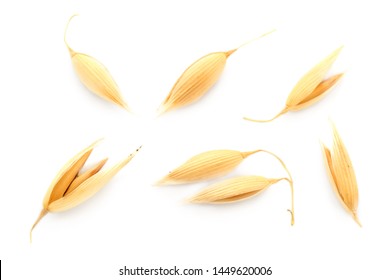 Oat seeds are isolated on white with a shadow. Oat seeds isolated on a white background. Set of oat grains isolated on white background. Top view of oat grains. - Shutterstock ID 1449620006