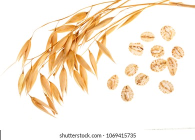 Oat Spike With Oat Flakes Isolated On White Background. Top View.