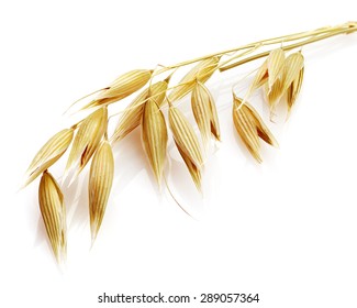 Oats Grain Cereal Isolated On White
