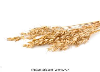 Oats Isolated On White