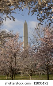 Obelisk