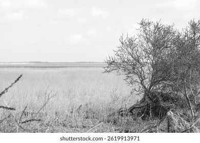 An object in outside nature