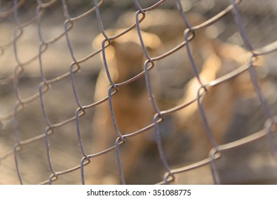 object technology mesh netting soft background closeup