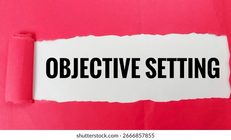 Objective setting concept with goal planning, career growth, business success, productivity improvement, strategic vision, motivation, discipline, and achievement. 