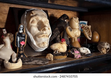 objects displayed at  the Morbid Anatomy Museum