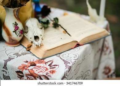 Objects of sorcery on the table - book, skull, dried rose, candle, magic, mystery