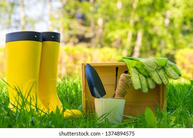 objects for working with plants in the garden close up and yellow rubber boots gardener on a green lawn