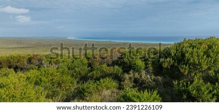 Obscure View of Mount Arid from Cape Arid National Park