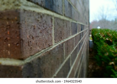 Obscured View Of Cement Wall Outside A Building During A Fall Day