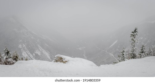 An Obscured View From Steady Snowfall In New Hampshire