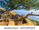 Observation point and landscape of the Hula Valley (upper Jordan River valley), from Keren Naftali (Upper Galilee), Northern Israel