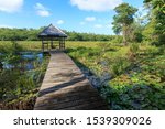 Observation point in the marsh