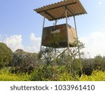 observation tower in the clearing