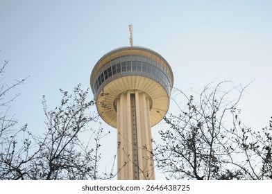 Observation tower through branches under blue sky captures modern architecture