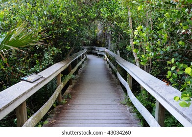 Observation Trail In The Everglades National Park, Florida USA