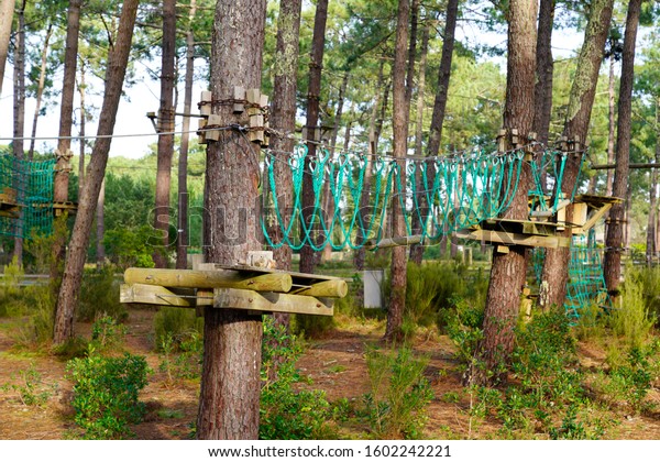 obstacle tree\
climbing course in adventure park\
